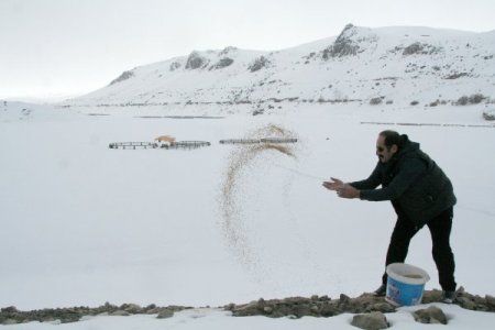 Yaban Hayatı İçin Yem Bırakıldı