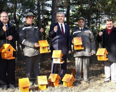 Yabani kuşların yuvasını devlet yapıyor