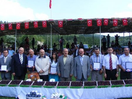 Yağışlar Kirazı Vurdu, Festival Hüzünlü Başladı