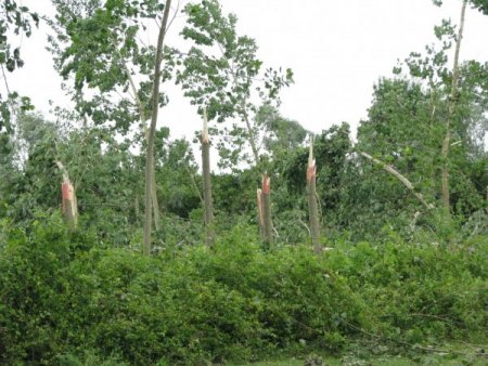 Yağmur Ve Fırtınadan Zarar Gören Tarım Üreticilerine Hasar Tespit Uyarısı