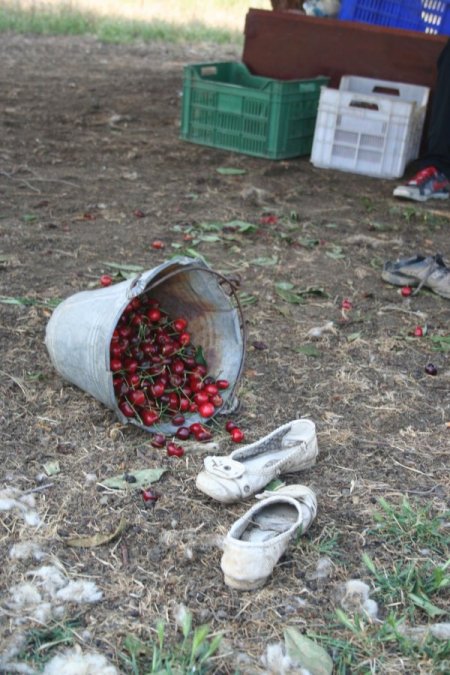 Yağmurda Ağaç Altında Telefonla Konuşurken Yıldırım Çarptı