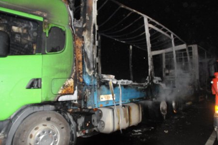 Yalova-İzmit D100 karayolunda TIR yangını