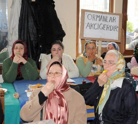 Yalova’da taş ocağı (ÇED) toplantısı engellendi