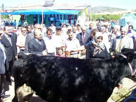 Yalvaç Kaymakamlığı Balık Vermek Yerine, Balık Tutmayı Öğretiyor