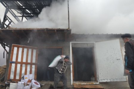 Yanan ahırdan sağlam malzemeleri kurtarmaya çalıştılar