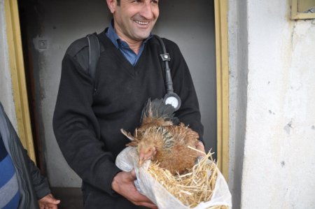 Yangın çıkan evde kuluçkaya yatan tavuğu itfaiye kurtardı