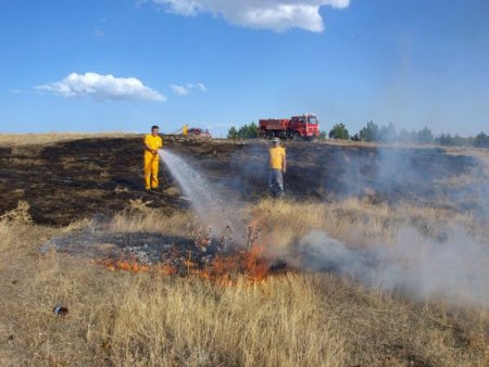 Yangın çıkınca etleri mangalda bırakıp kaçtılar