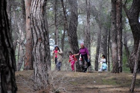 Yangın riskinin yüksek olduğu dönemlerde ormanlık alanlara girmek yasak