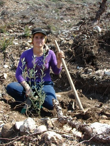 Yangın sonrası 10 bin hektar alana dikilen fidanların bakımı yapıldı