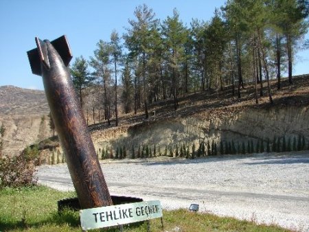Yangın sonrası 10 bin hektar alana dikilen fidanların bakımı yapıldı
