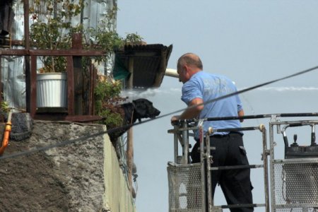 Yangına terasta bağlı olarak yakalanan 'Karabaş' isimli köpek sağ kurtuldu