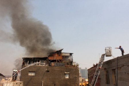 Yangına terasta bağlı olarak yakalanan 'Karabaş' isimli köpek sağ kurtuldu