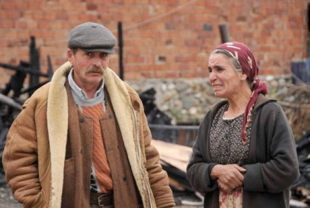 Yangında öldü sanılan at, ayağa kalkıp yürüdü