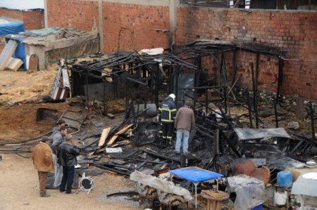 Yangında öldü sanılan at, ayağa kalkıp yürüdü