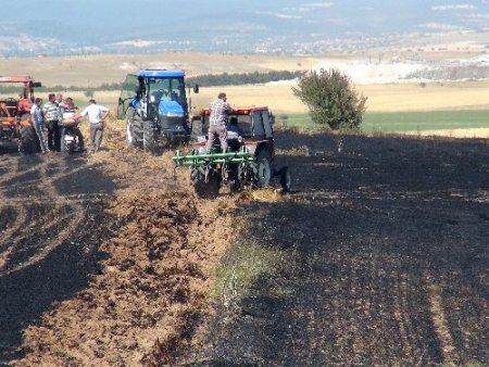 Yangında tonlarca hububat tarlada kül oldu