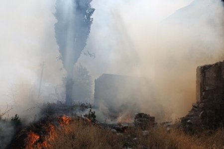 Yangında yavru kediler telef oldu