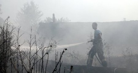 Yangında yavru kediler telef oldu