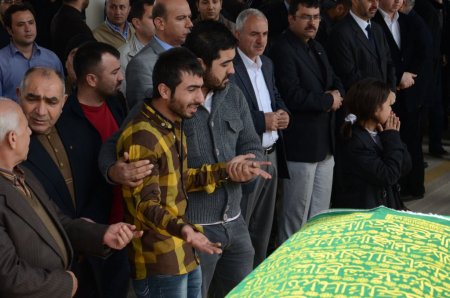 Yanlışlıkla öldürülen Dedekurt kardeşlerin yürek burkan hikayesi