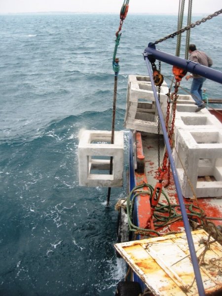 Yapay Resifler Balıkçıların Yüzünü Güldürdü