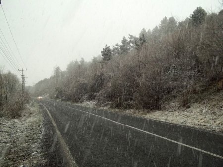 Yaprak açan fındık ağaçlarına kar yağdı