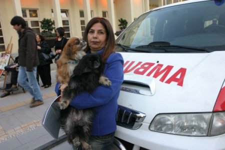 Yaralı Köpek İçin Ambulans Aldı, Belediye Teslim Edemedi