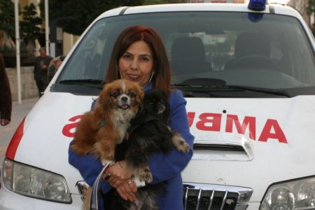 Yaralı Köpek İçin Ambulans Aldı, Belediye Teslim Edemedi