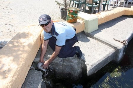 Yaralı Martıya Polis Şefkati