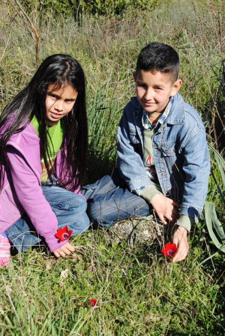 Yarın cemre havaya düşüyor