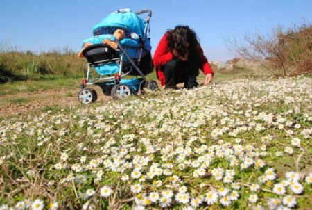 Yarın cemre havaya düşüyor