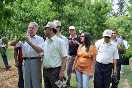 Yaş Sebze Meyve İhracatında Rusya Kapısı Ardına Kadar Açılıyor