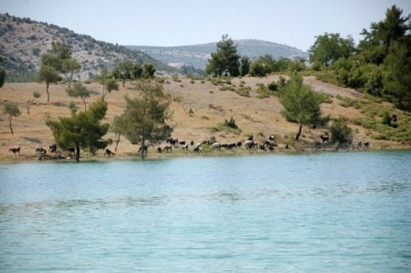 Yatağan’da Göl Suyu Kaosu