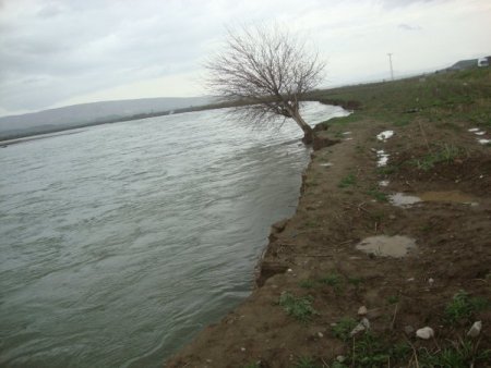 Yatağı değişen Batman Çayı kara yolunu tehdit ediyor