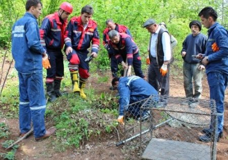 Yavru domuzları kurtarma operasyonu