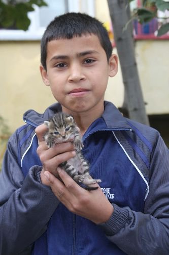 Yavru Kedi Öksüz'ün Yardımına Öksüz Çocuk Yetişti