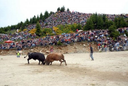 Yayla şenlikleri ve festivaller daha geniş kitlelere tanıtılacak