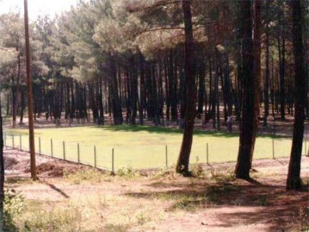 Yayladağı Belediyesi Sosyal Tesis Yapımı İçin Alan Kiraladı