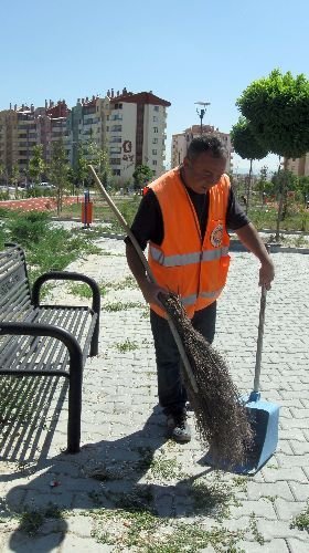 Yazar Kasa Eylemcisi Belediyede Çöpçü Oldu