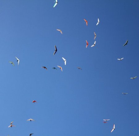 Yelkenkanattan 20 sporcu hedefe ulaşabildi