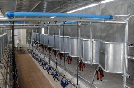 Yem Ambalajlama Tesisi Üretime Başladı