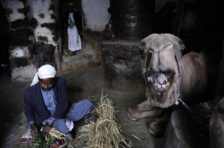 Yemen Gündelik Hayat