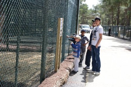 Yeni açılan Uşak Hayvanat Bahçesi yoğun ilgi görüyor