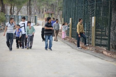 Yeni açılan Uşak Hayvanat Bahçesi yoğun ilgi görüyor