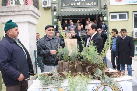 'Yeni yılda ağaç kesme, fidan dik' kampanyası