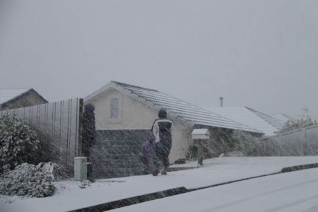 Yeni Zelanda Kara Teslim