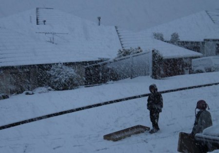 Yeni Zelanda Kara Teslim