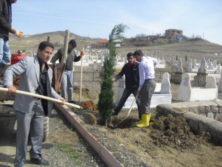 Yeniçubuk’ta Mezarlıklar Ağaçlandırılıyor
