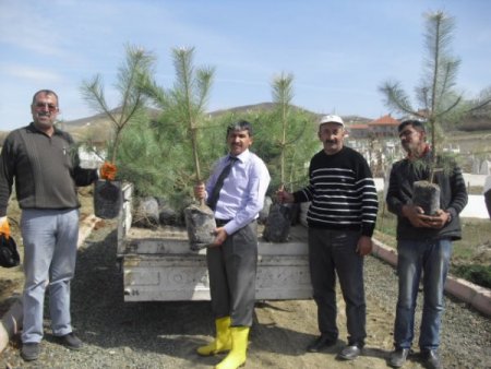 Yeniçubuk’ta Mezarlıklar Ağaçlandırılıyor