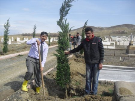 Yeniçubuk’ta Mezarlıklar Ağaçlandırılıyor