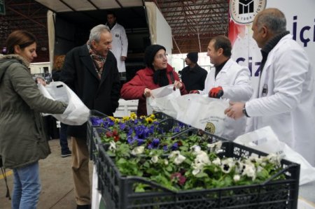 Yenimahalle Belediyesi vatandaşa çiçek dağıttı