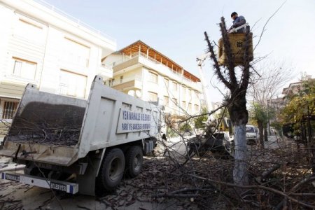 Yenimahalle'de budanan ağaçlar ihtiyaç sahiplerine yakacak oldu